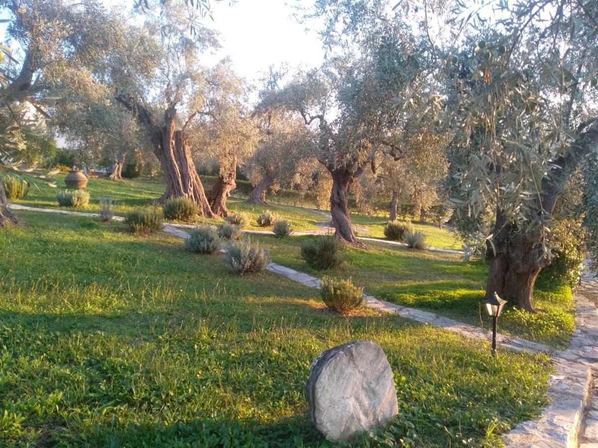 Saint Andrews Bay Βίλα Μηλιά Εξωτερικό φωτογραφία