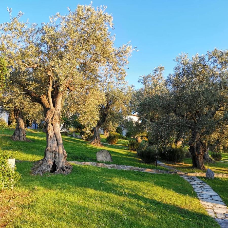 Saint Andrews Bay Βίλα Μηλιά Εξωτερικό φωτογραφία