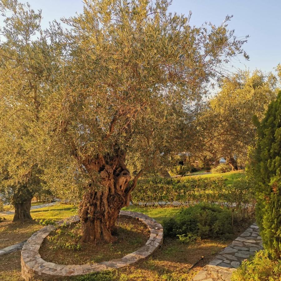 Saint Andrews Bay Βίλα Μηλιά Εξωτερικό φωτογραφία